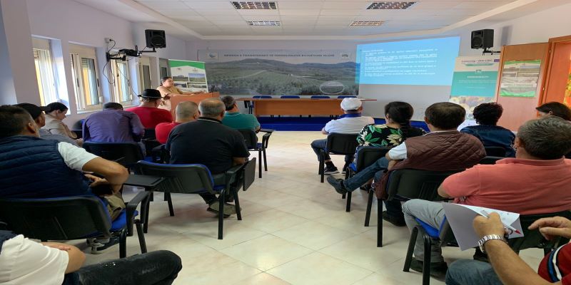 Local Meeting Vlora