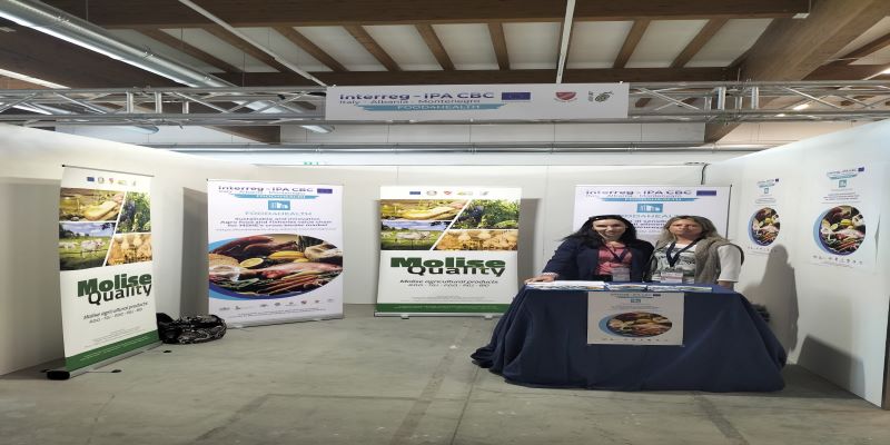 F4H STAND MOLISE